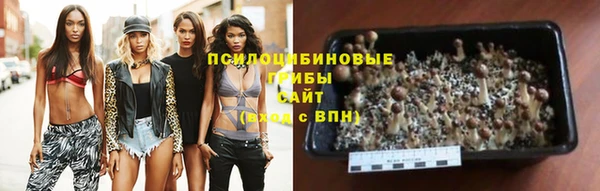 стафф Алексин