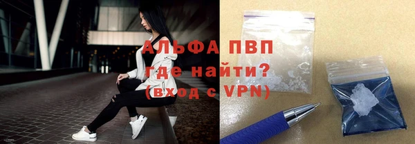 стафф Алексин