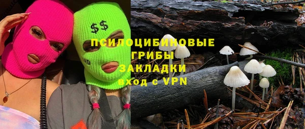стафф Алексин