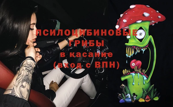 шишки Алексеевка