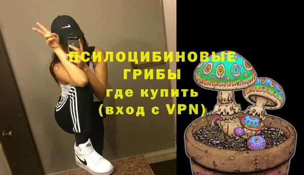 стафф Алексин